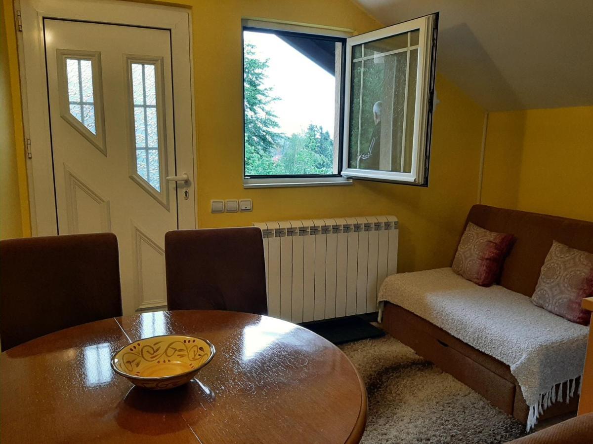 Apartments Junior Zlatibor Buitenkant foto